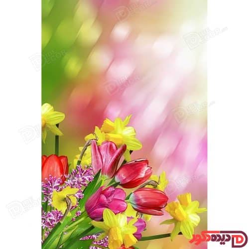 پرده زبرا دومکانیزم چاپی کد AZD-070 با طرح گل‌های لاله و نرگس روی زمینه صورتی و سبز، مناسب آشپزخانه