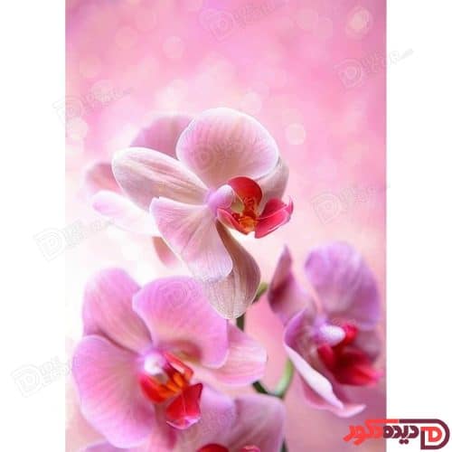پرده زبرا دومکانیزم کد AZD-083 با طرح گل‌های ارکیده صورتی و بنفش روی زمینه روشن، مناسب اتاق خواب و آ